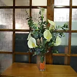 莫萨韦斯萨拉曼卡酒店 莫萨韦斯